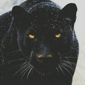 Meet your Posher, Jc